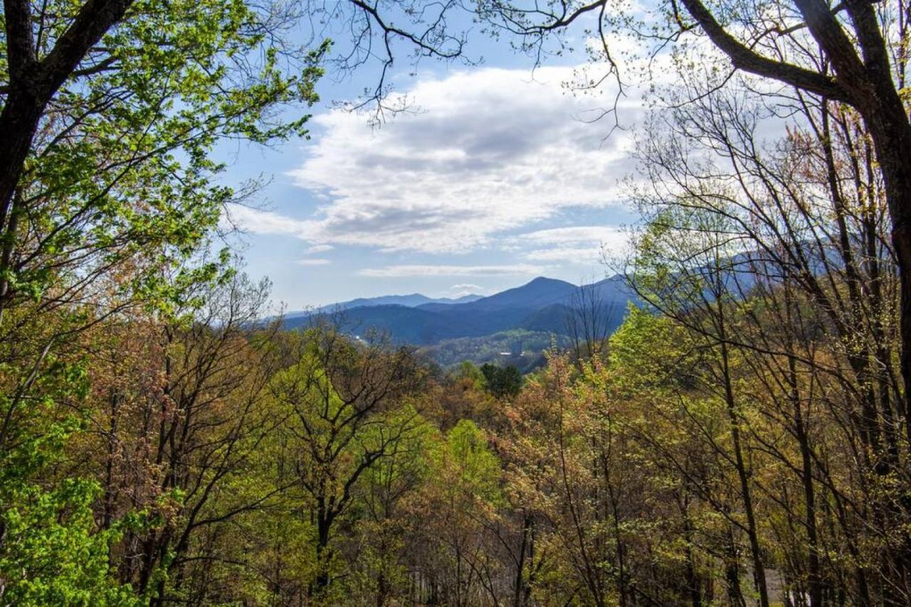 Bear View Chalet With Hot Tub And Near Ober Gatlinburg Exterior photo